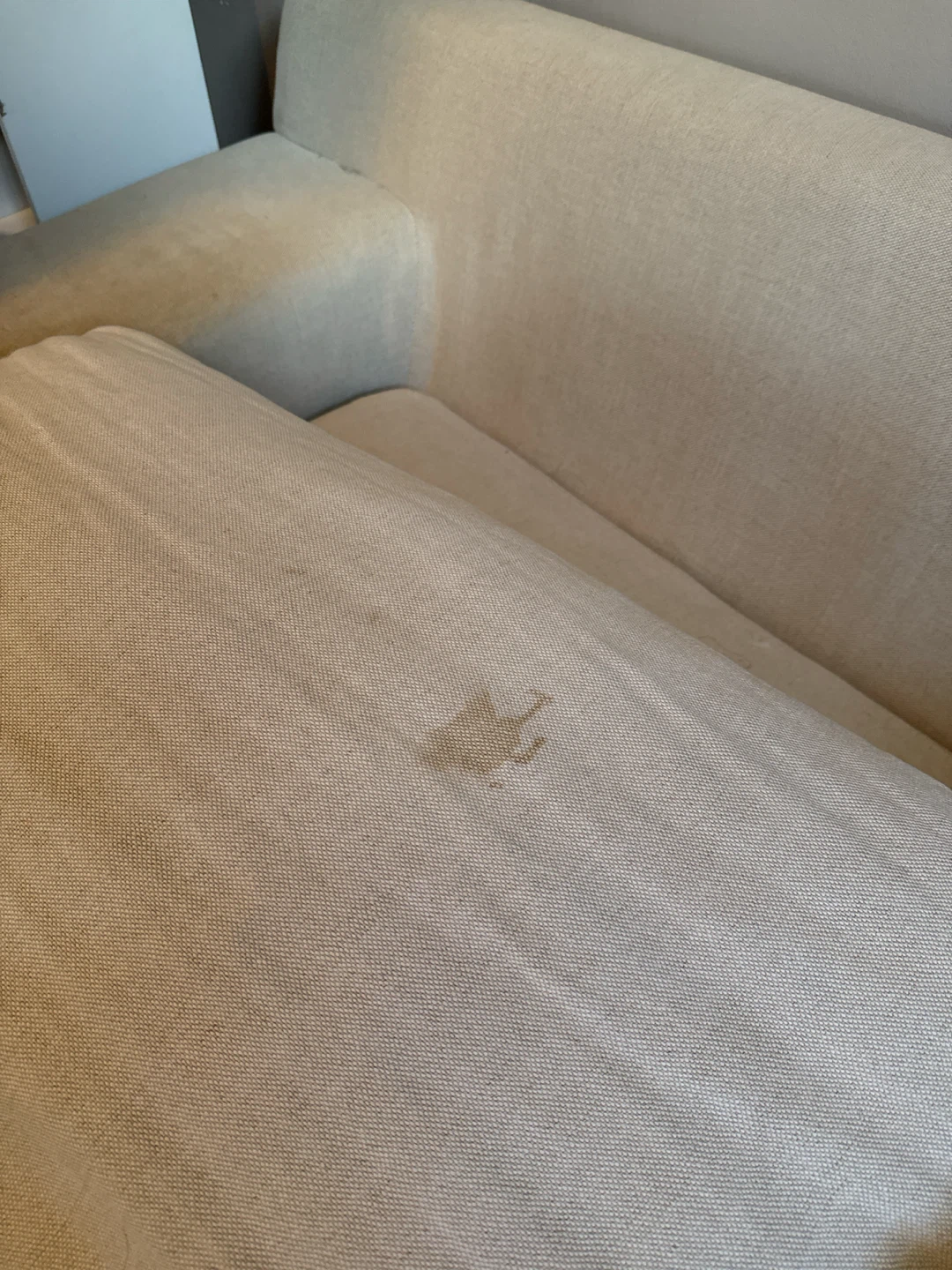 Beige Sofa with Removable Cushion Cover - photo 3