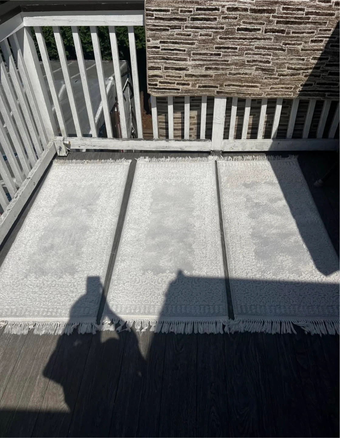 Light Grey Area Rug with Fringed Edges