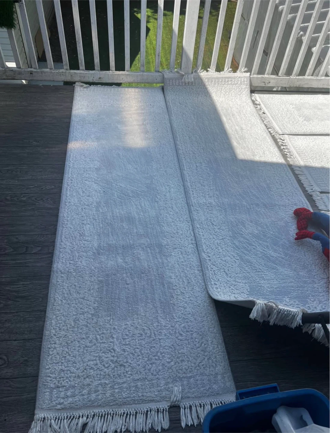 Light Grey Area Rug with Fringed Edges - photo 3