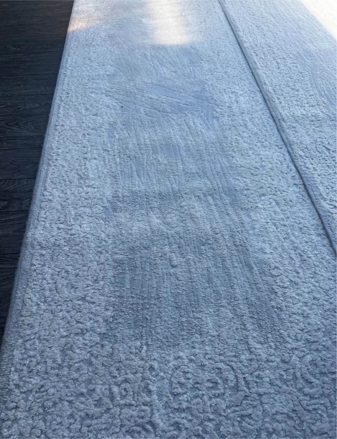 Light Grey Area Rug with Fringed Edges - photo 4