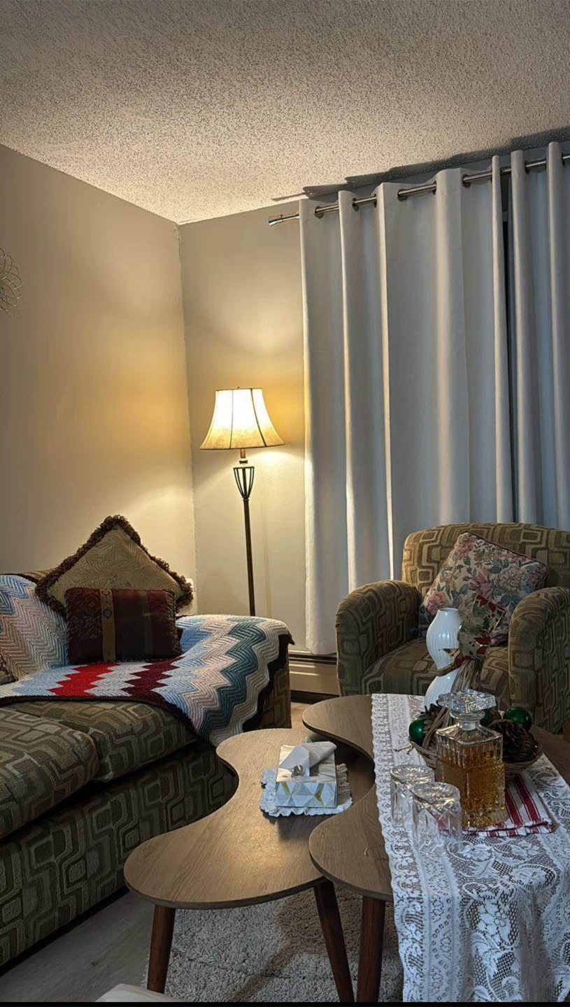 Living Room Furniture - photo 3