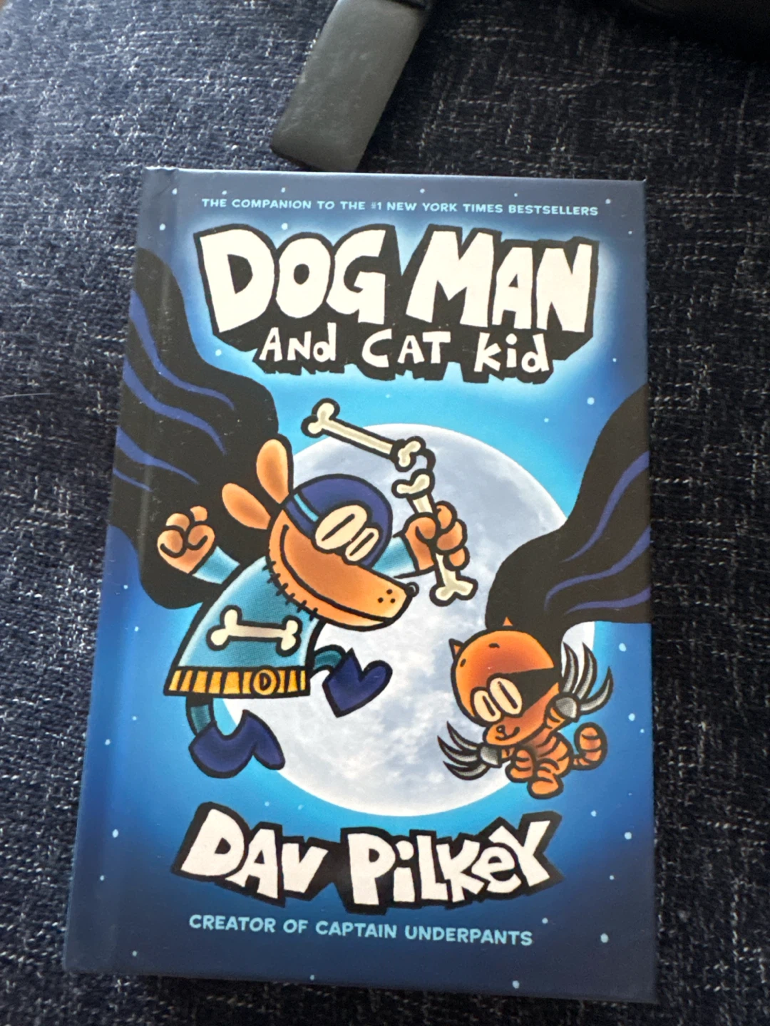 Dog Man Books by Dav Pilkey - 4 Book Bundle - photo 3