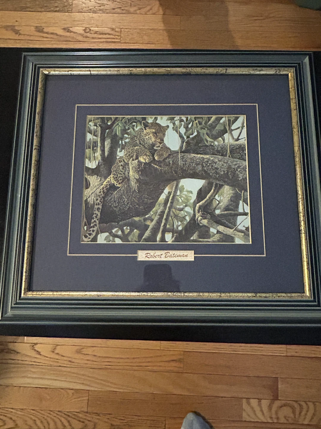 Robert Bateman Leopard Framed Art Print