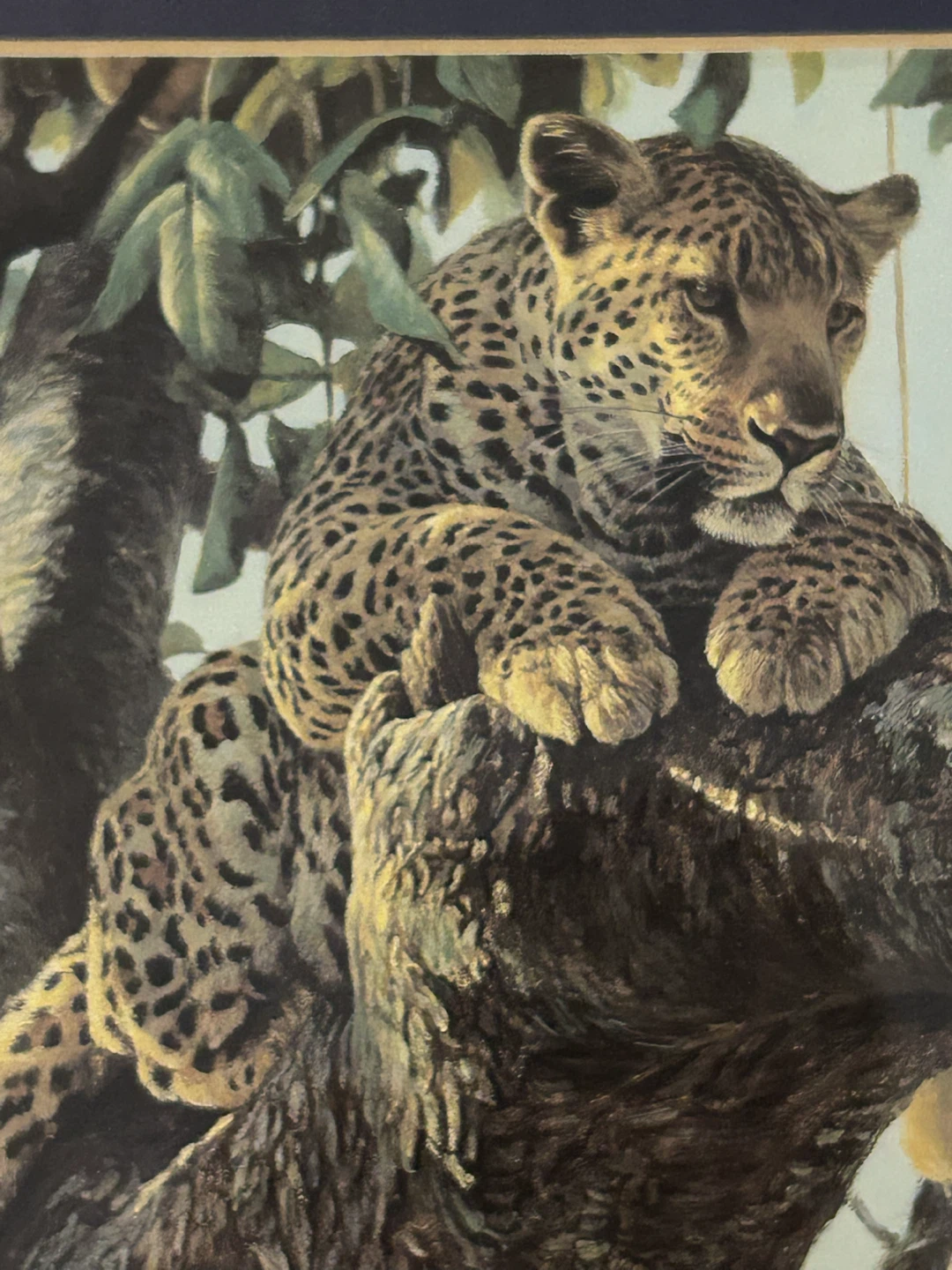 Robert Bateman Leopard Framed Art Print - photo 2