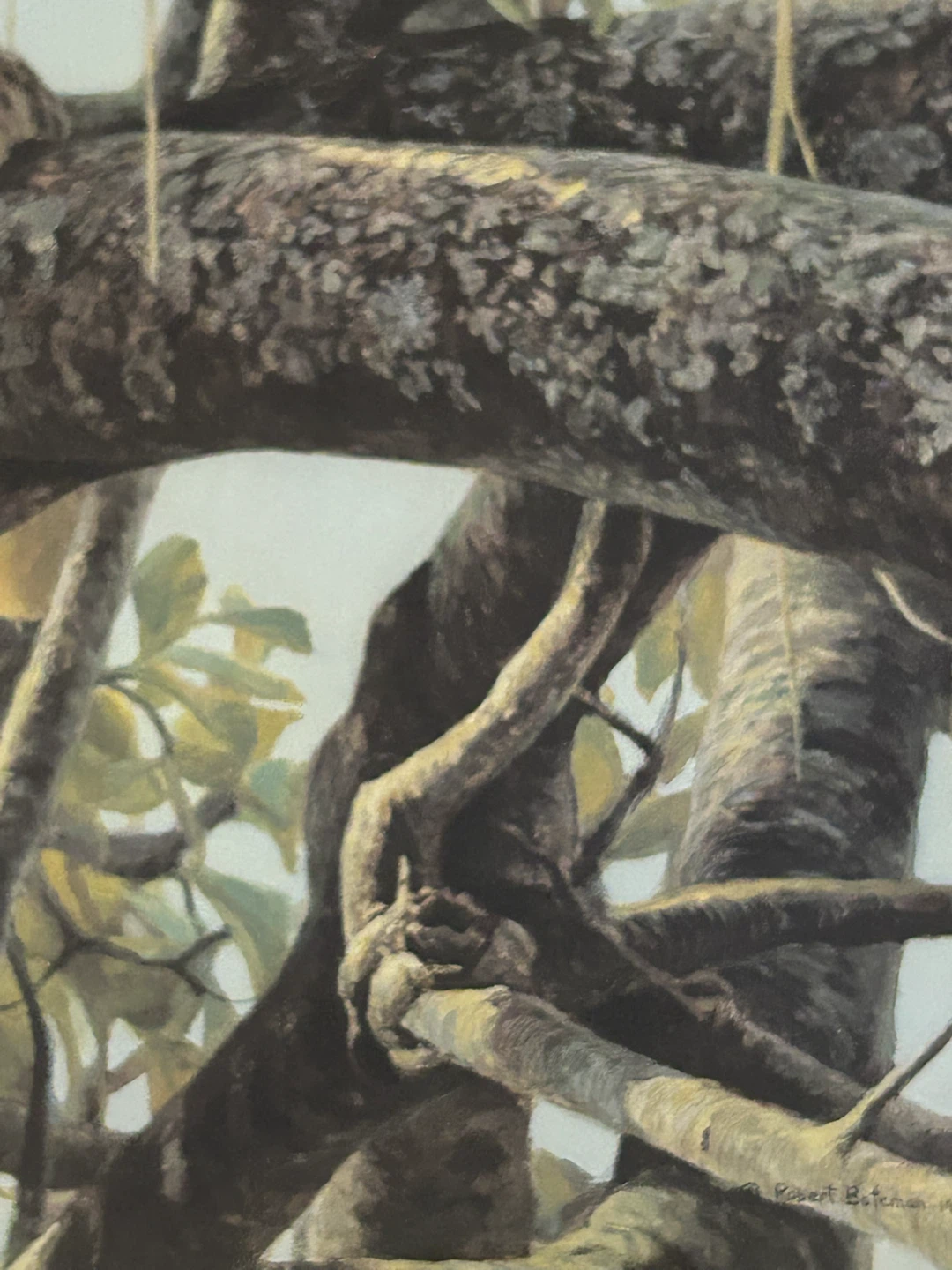 Robert Bateman Leopard Framed Art Print - photo 5