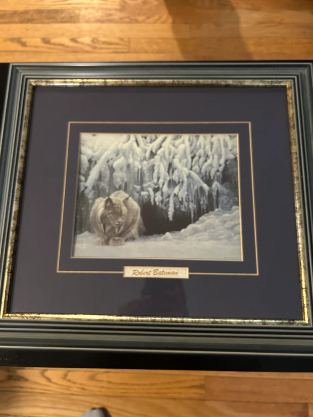 Framed Robert Bateman Lynx Art Print