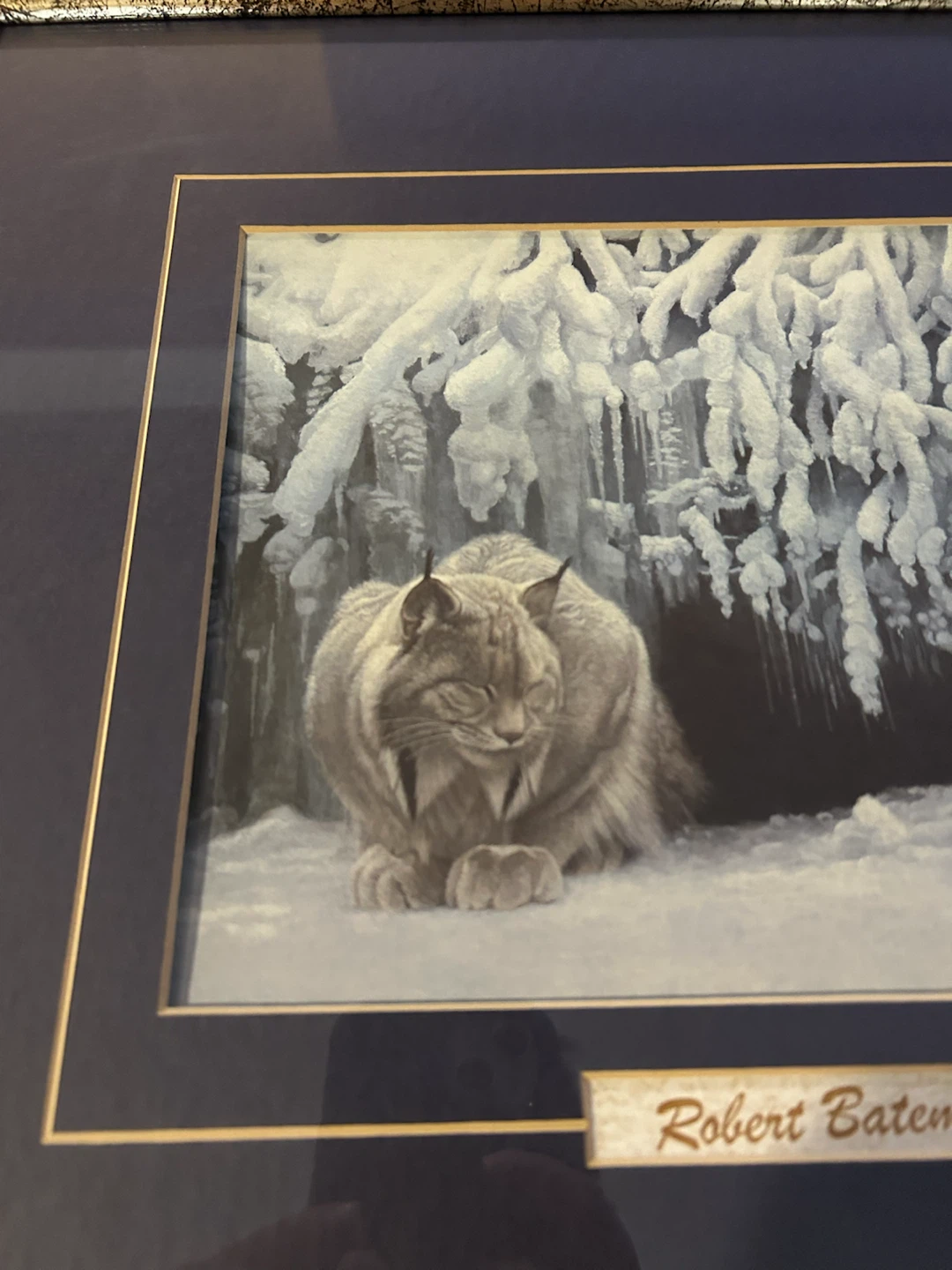 Framed Robert Bateman Lynx Art Print - photo 2