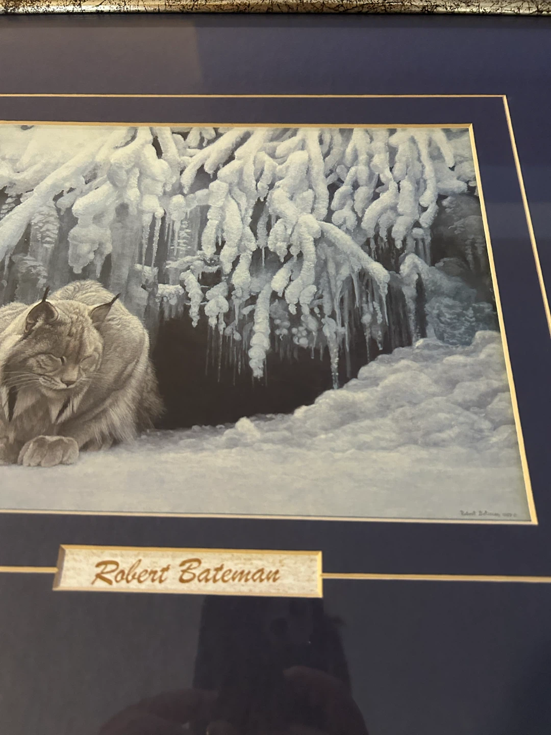 Framed Robert Bateman Lynx Art Print - photo 3