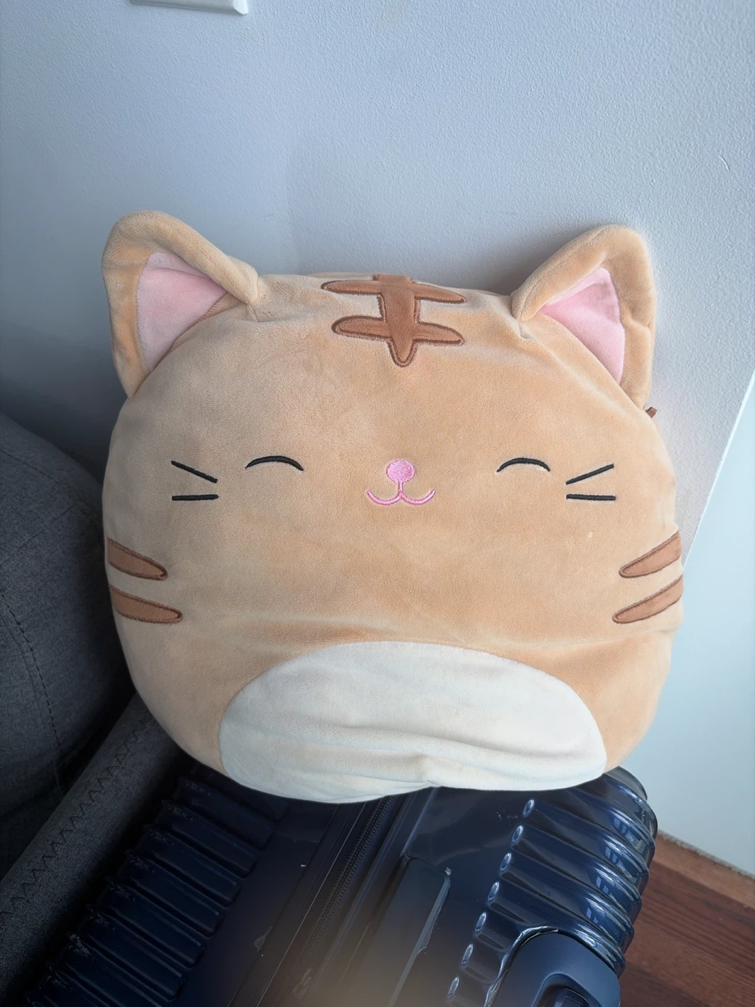 Plush Cat Pillow