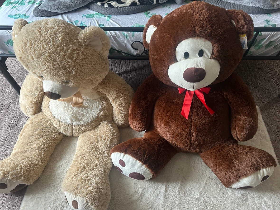 Large Brown Teddy Bear