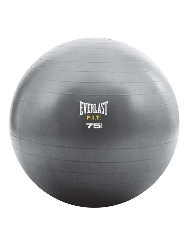Everlast F.I.T. 75cm Exercise Ball - photo 4