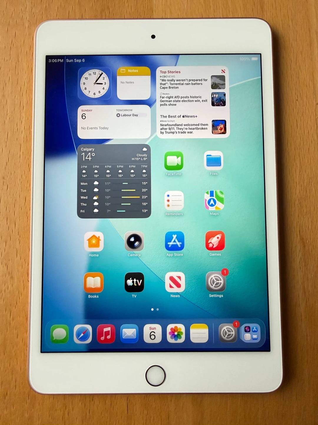 Apple iPad mini 5th Gen 64GB Rose Gold