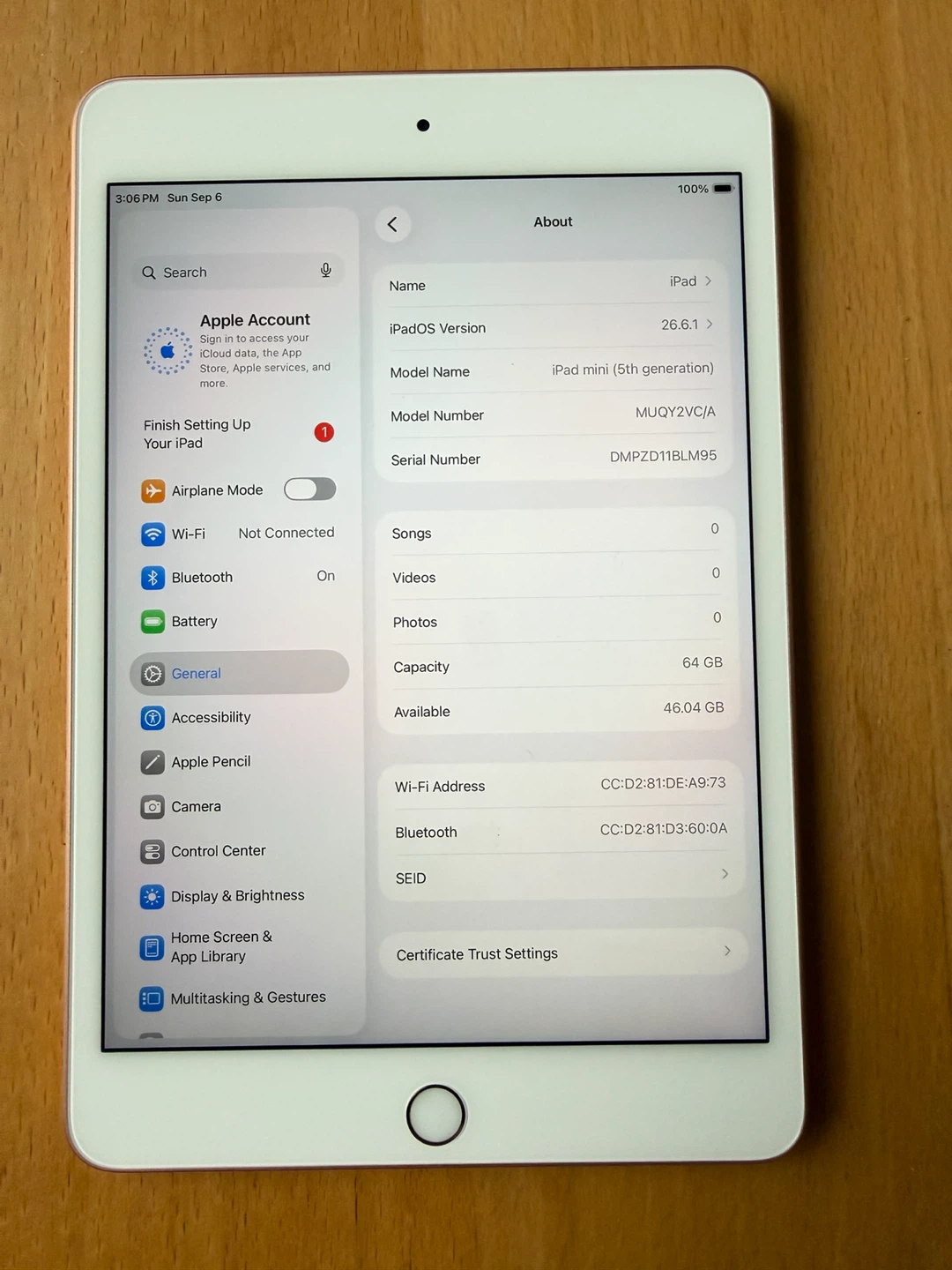 Apple iPad mini 5th Gen 64GB Rose Gold - photo 2