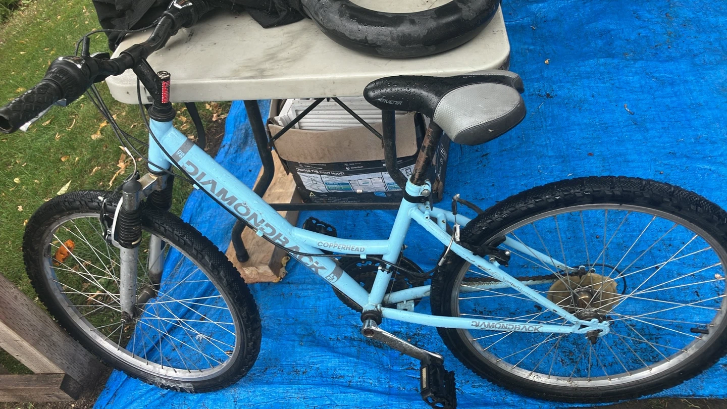 Diamondback Copperhead Kids Bike