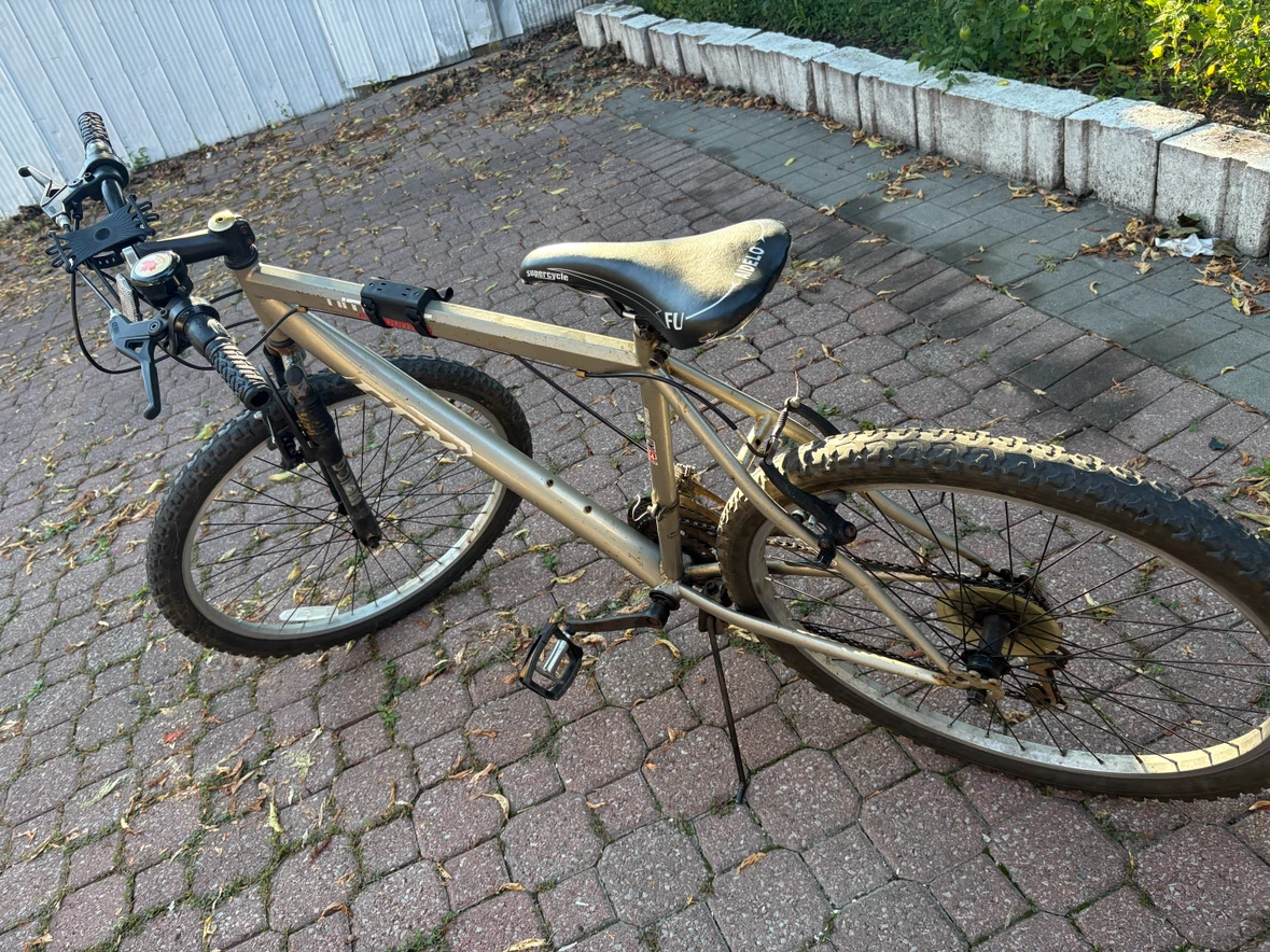 CCM FS XT Mountain Bike
