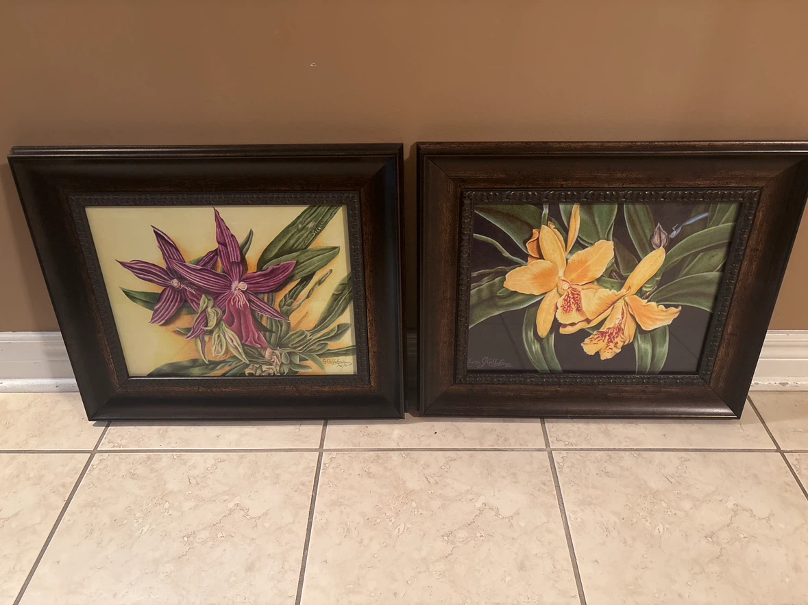 Set of Two Framed Orchid Prints