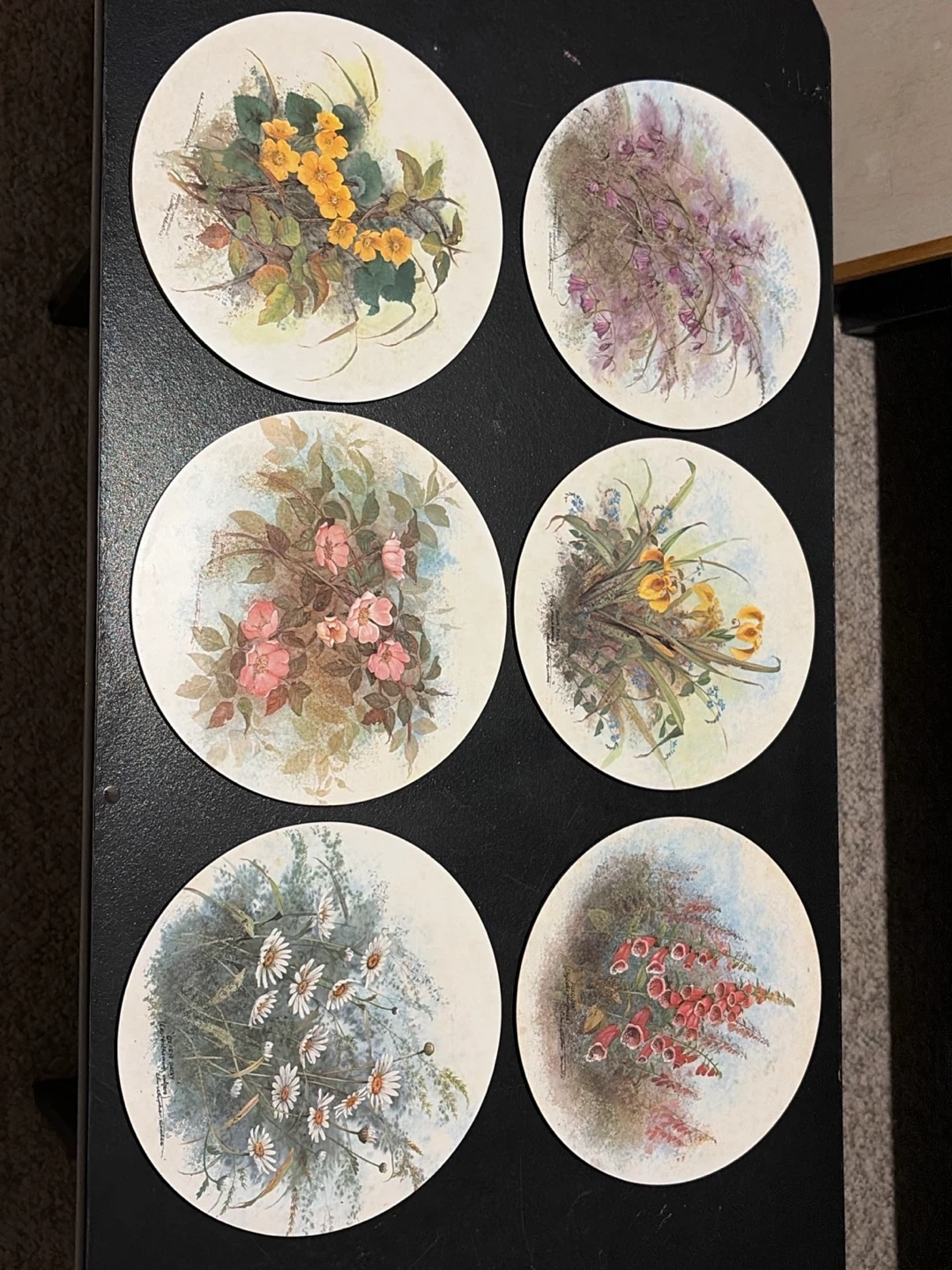 Set of 6 Vintage Botanical Floral Coasters