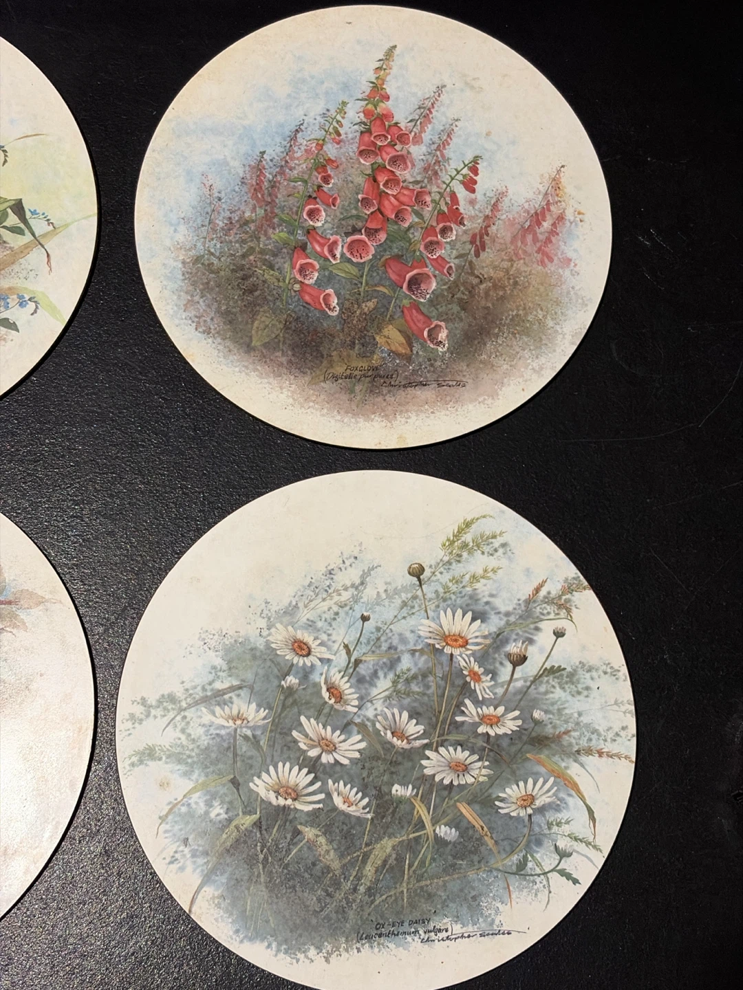 Set of 6 Vintage Botanical Floral Coasters - photo 2