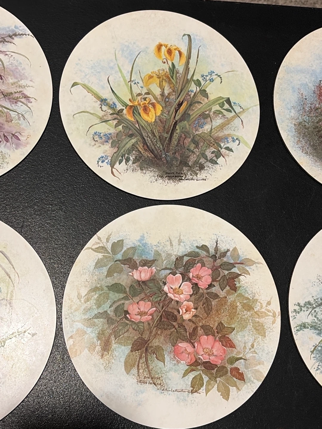 Set of 6 Vintage Botanical Floral Coasters - photo 3