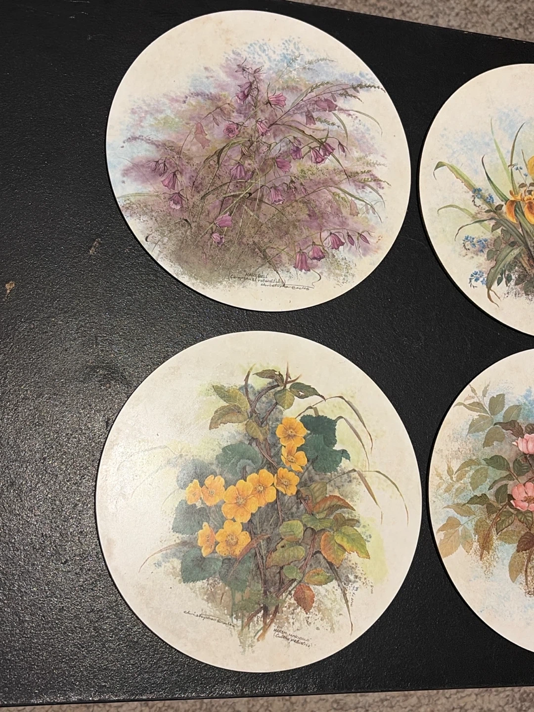 Set of 6 Vintage Botanical Floral Coasters - photo 4
