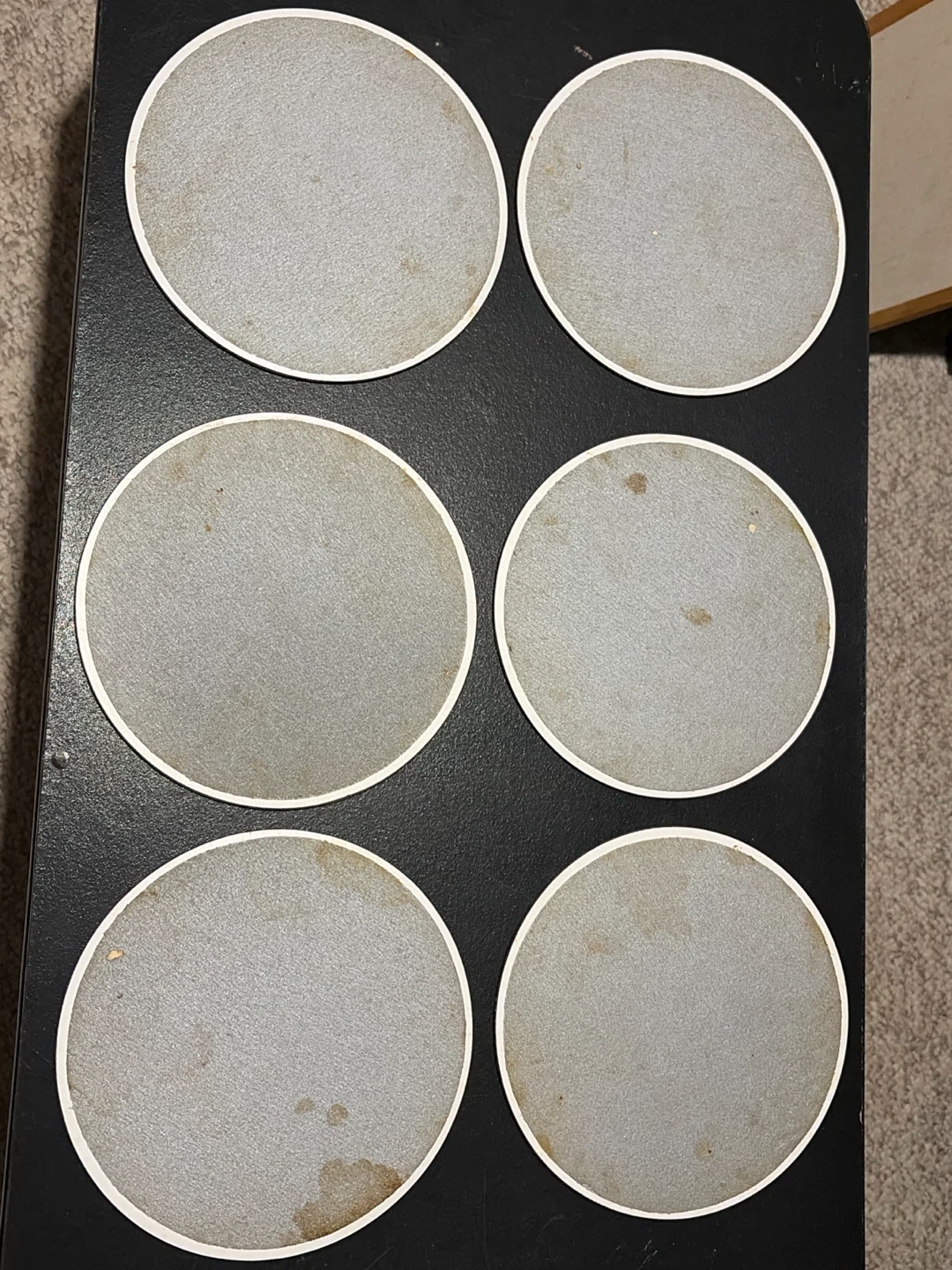 Set of 6 Vintage Botanical Floral Coasters - photo 5