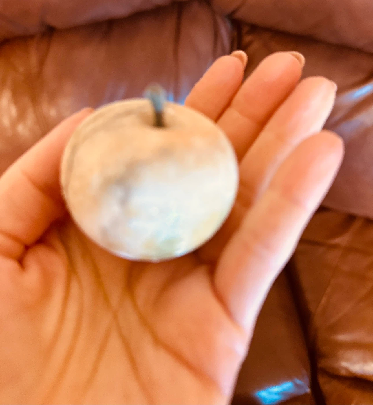 Decorative Stone Apple(not polished)