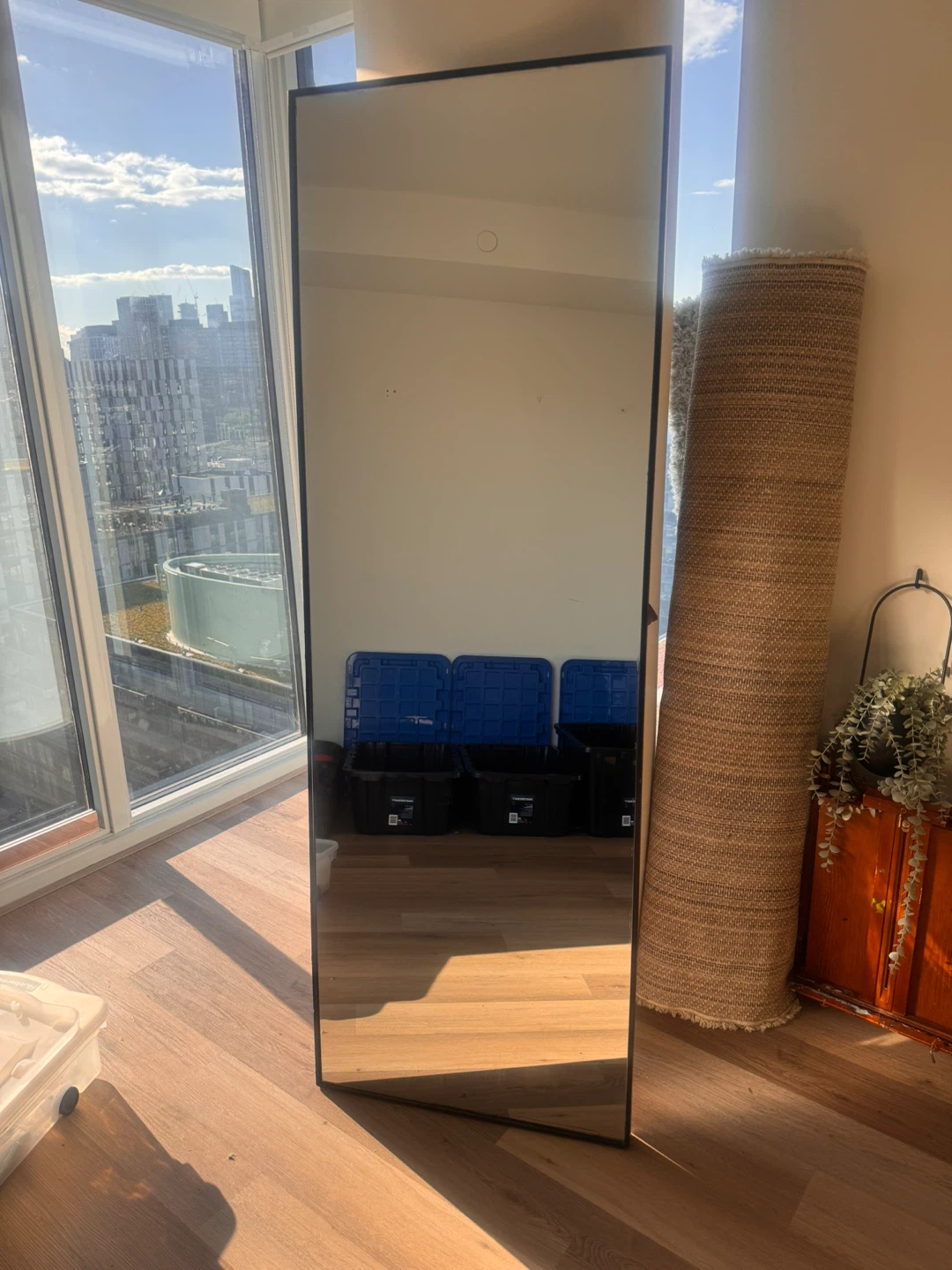 Full Length Mirror with Black Frame - photo 3