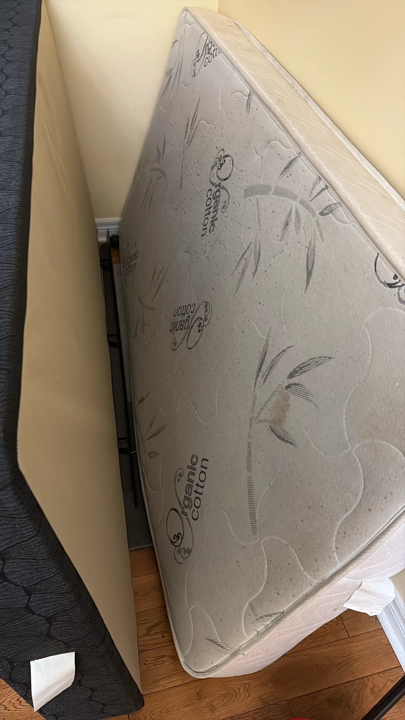 Free Single and Twin Mattress - good condition