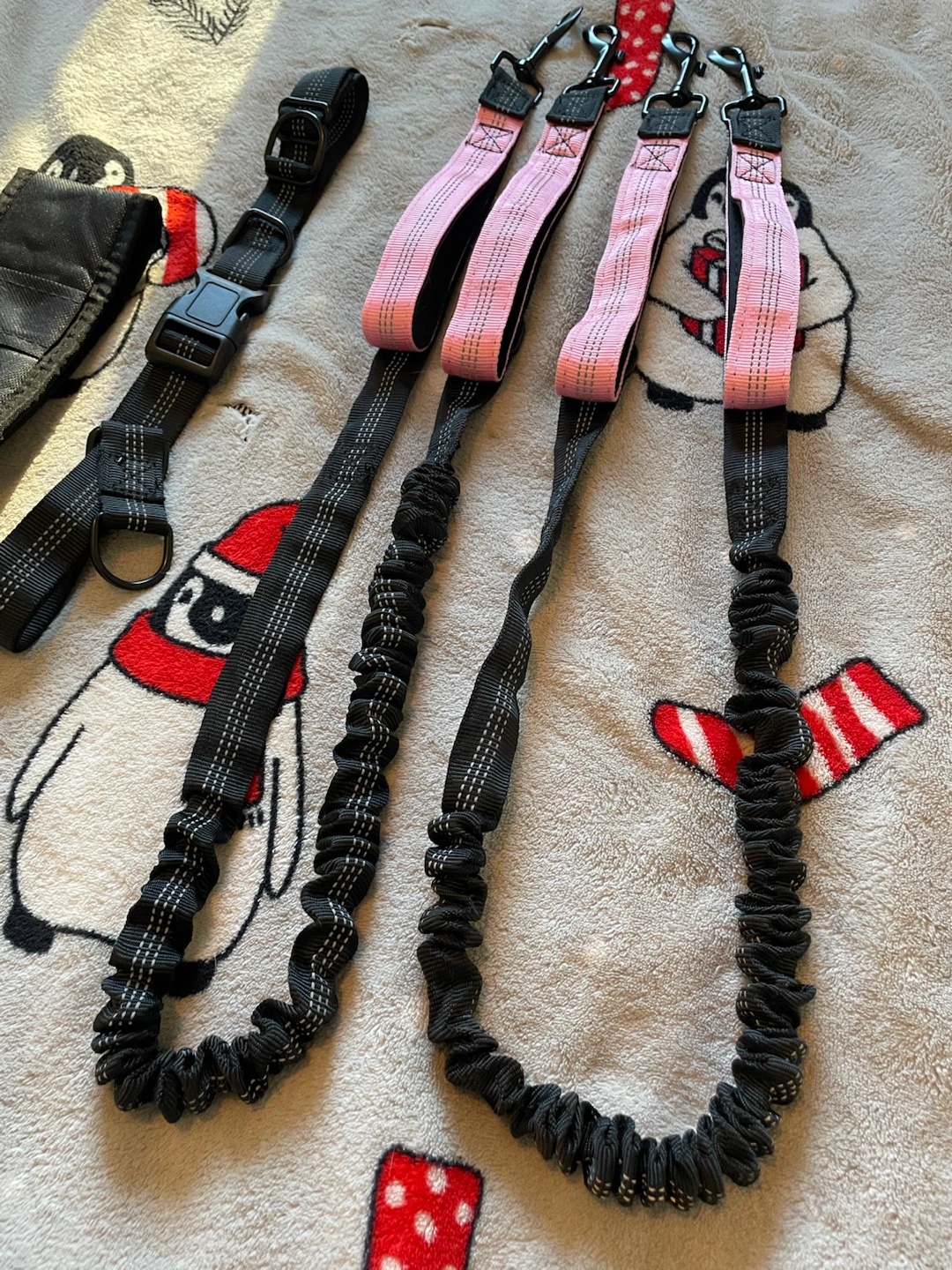 Brand New Single/Double Dog Hands Free Leash - photo 2