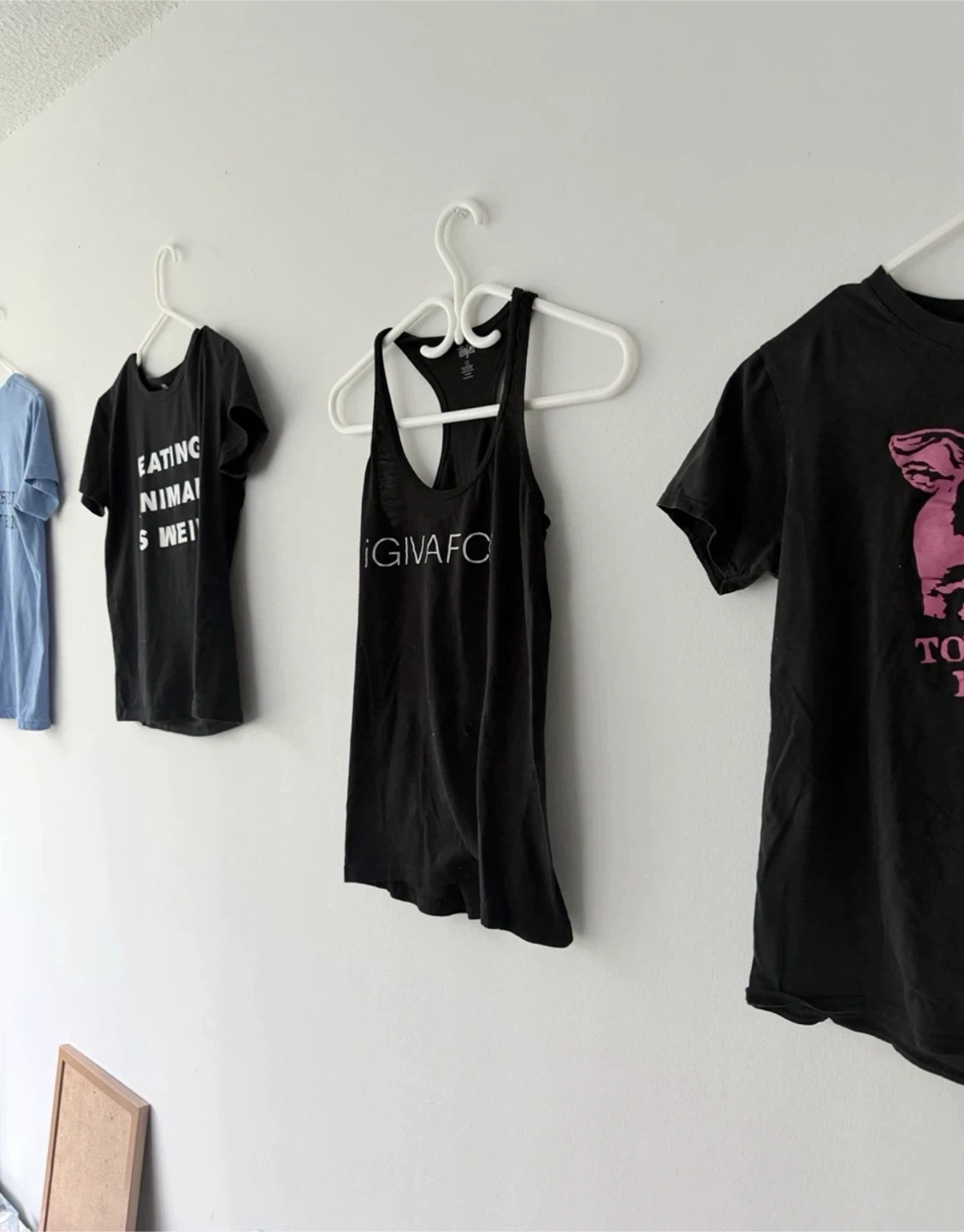 Vegan Activist Tee Bundle – 4 Graphic T-Shirts - photo 3