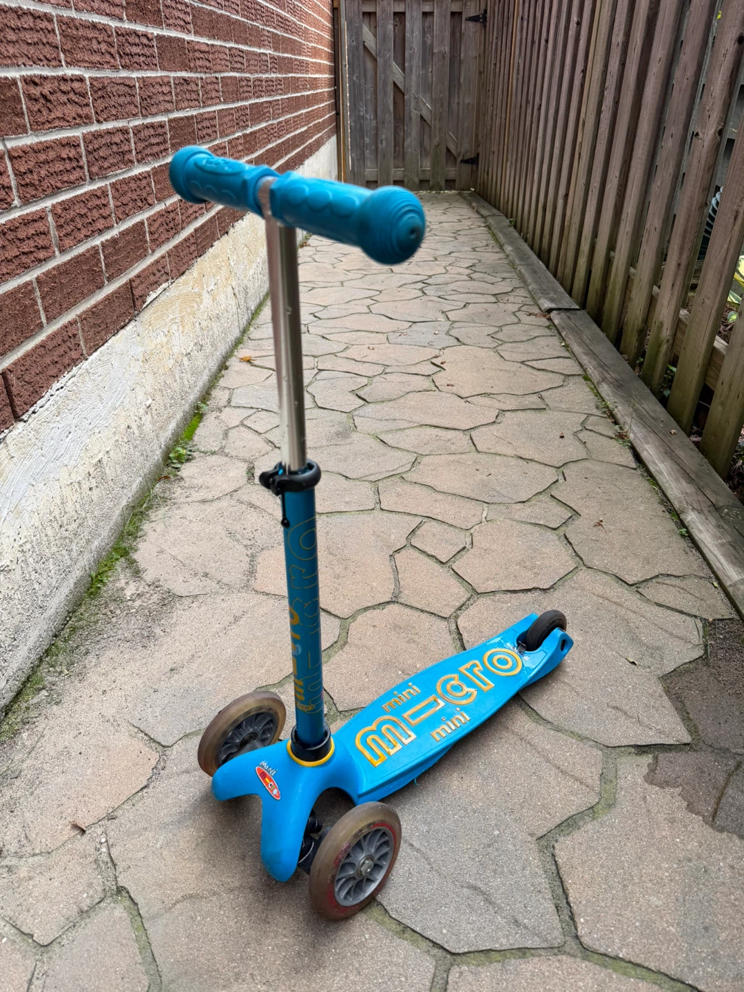 Micro Mini scooter