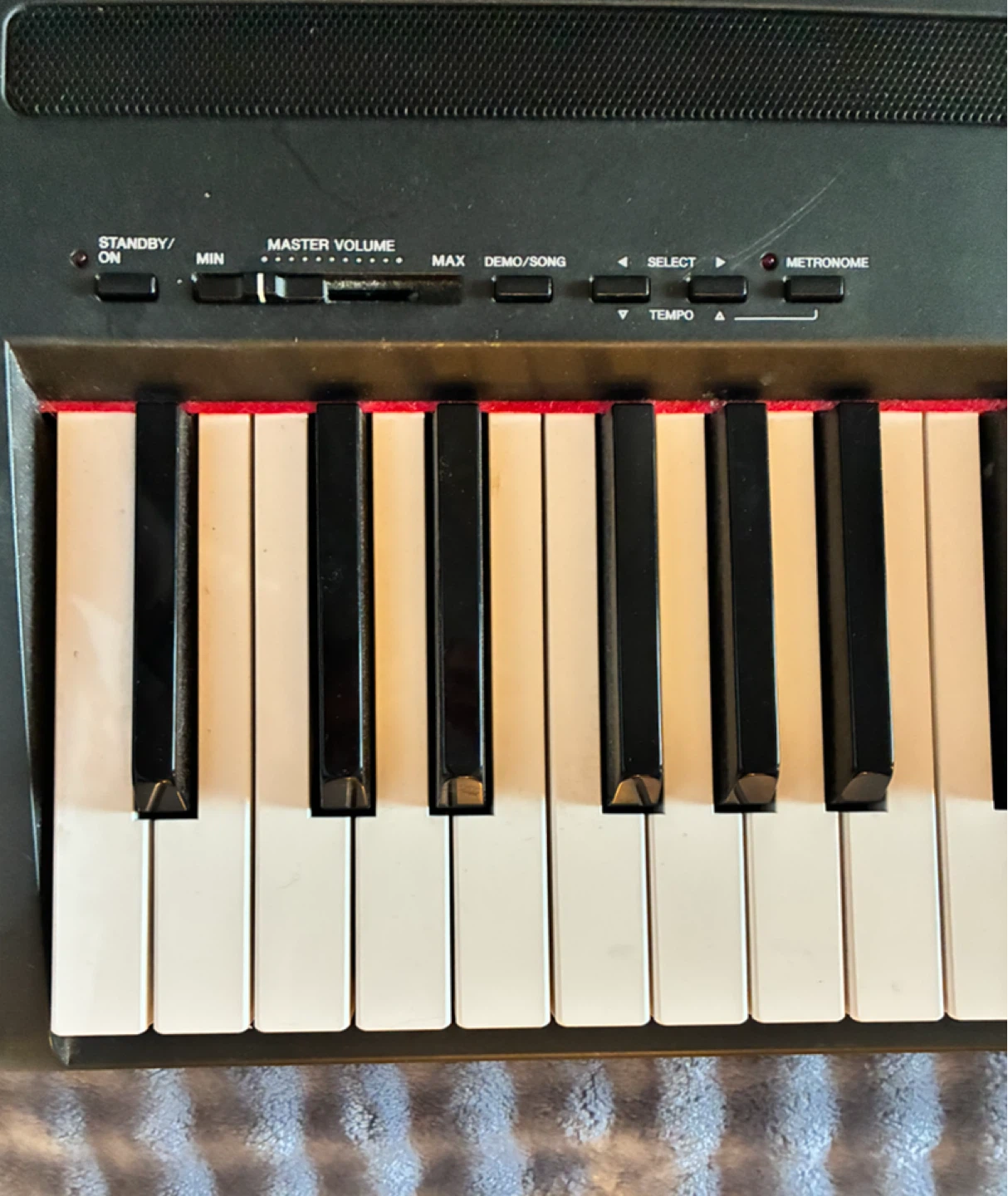Yamaha P-85 Digital Piano - photo 2