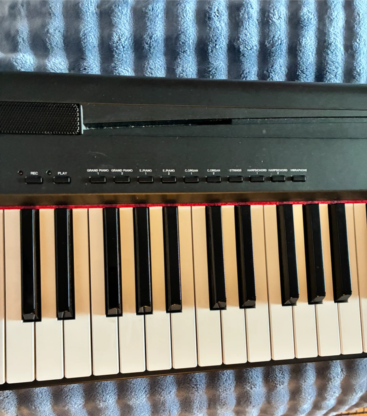 Yamaha P-85 Digital Piano - photo 3