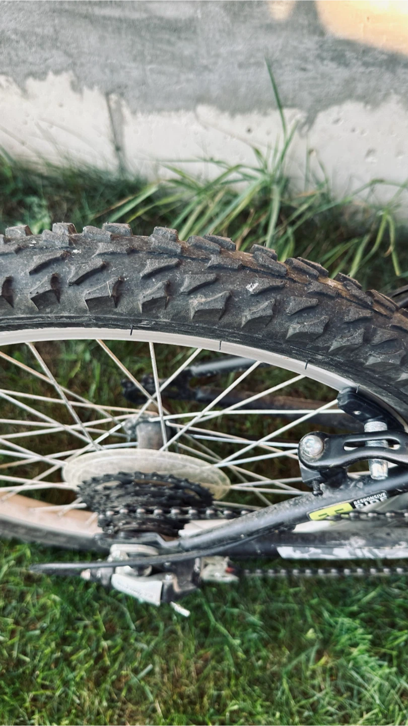 Stratus Torsion Boys Bike - photo 2