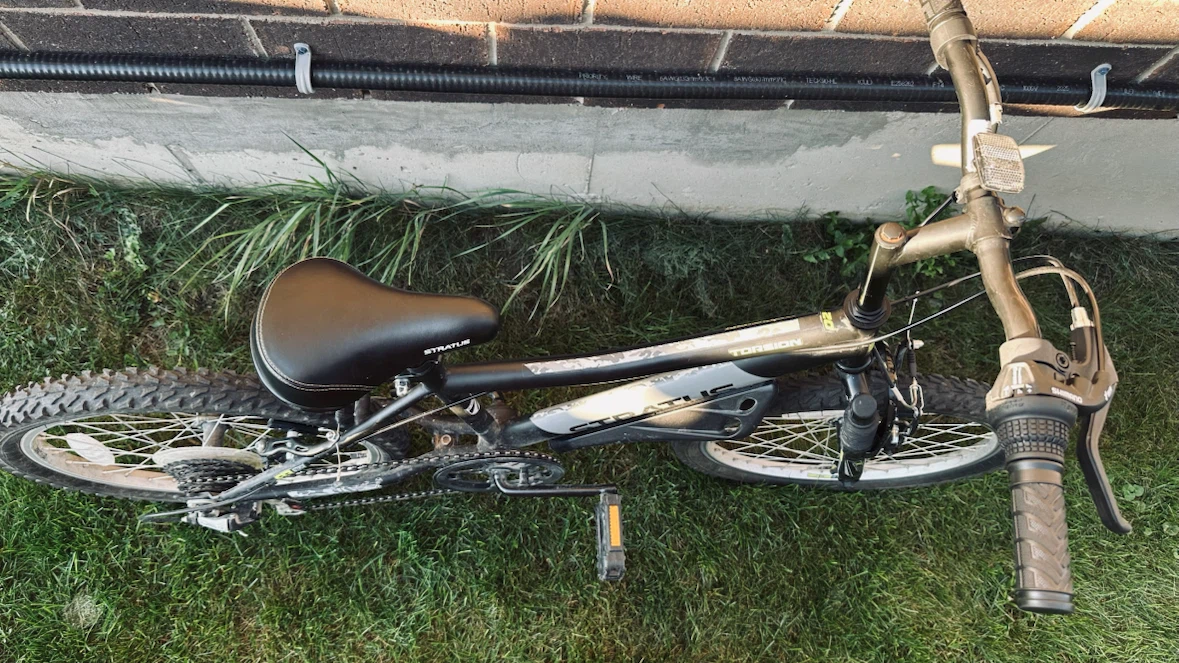 Stratus Torsion Boys Bike - photo 3