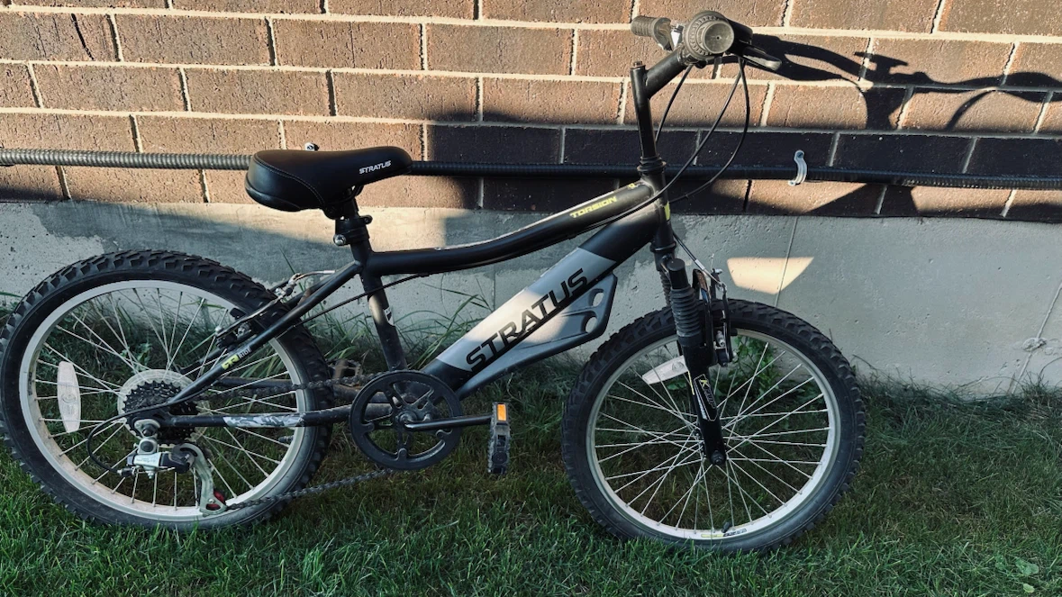 Stratus Torsion Boys Bike - photo 4