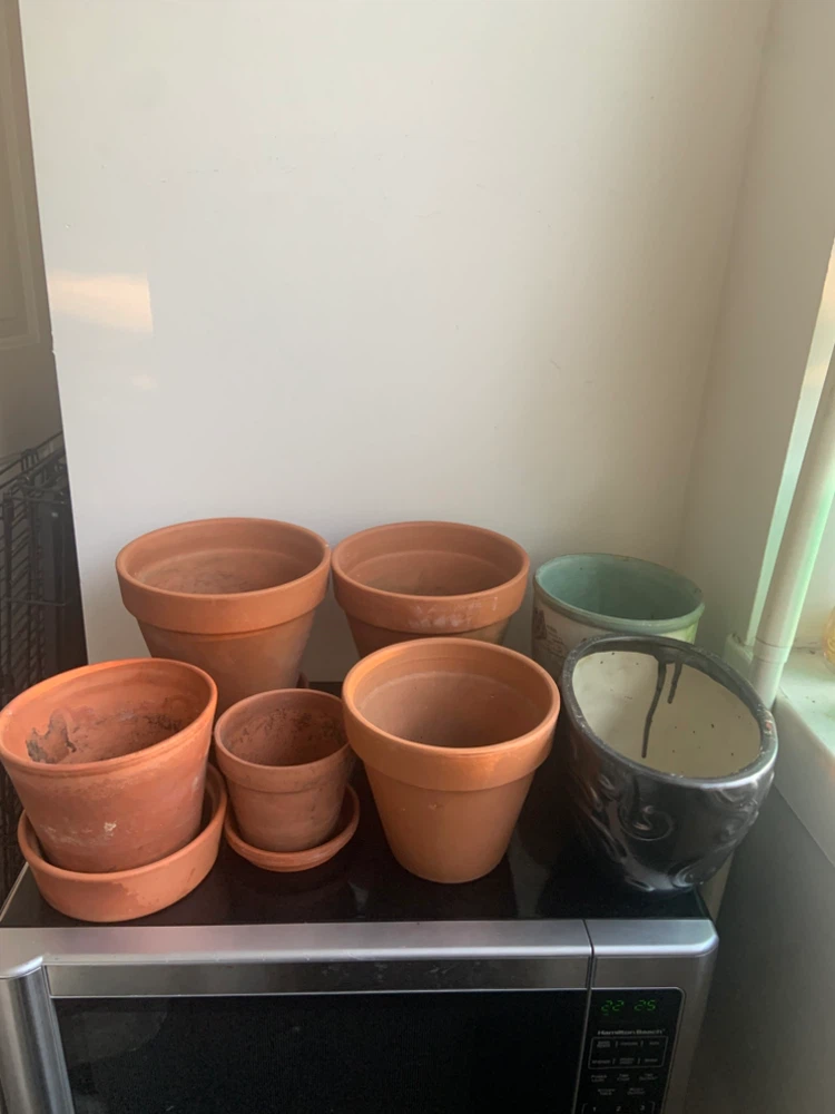 11 Set of assorted plant pots (bundle)