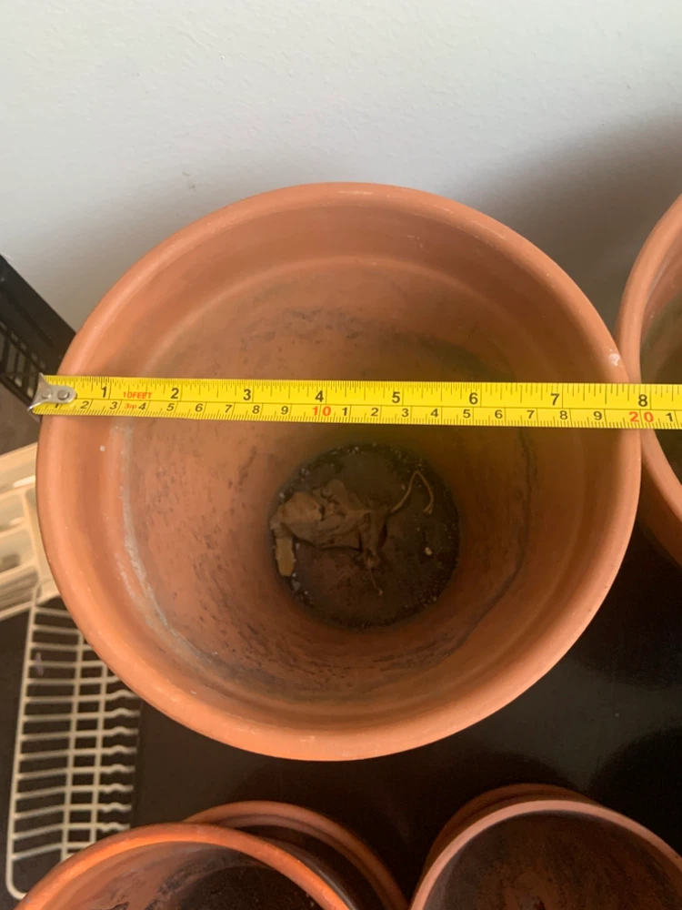 11 Set of assorted plant pots (bundle) - photo 4