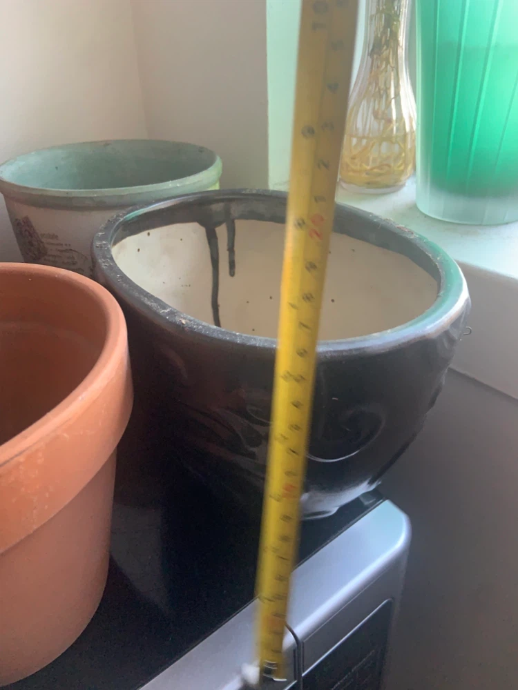 11 Set of assorted plant pots (bundle) - photo 5