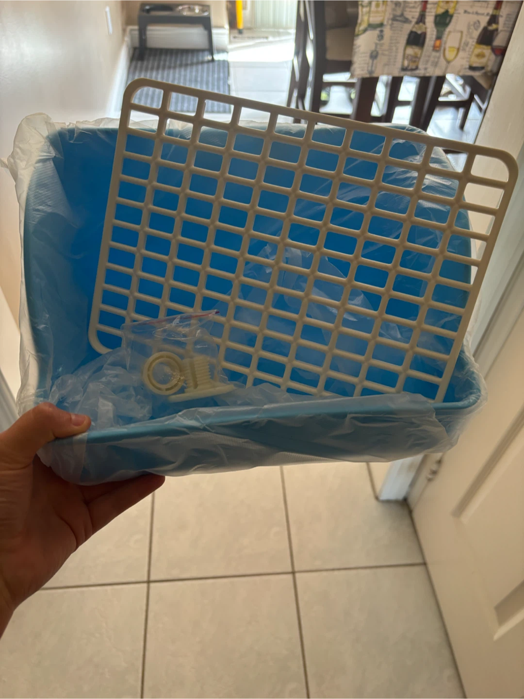 Rabbit Litter Box - Blue