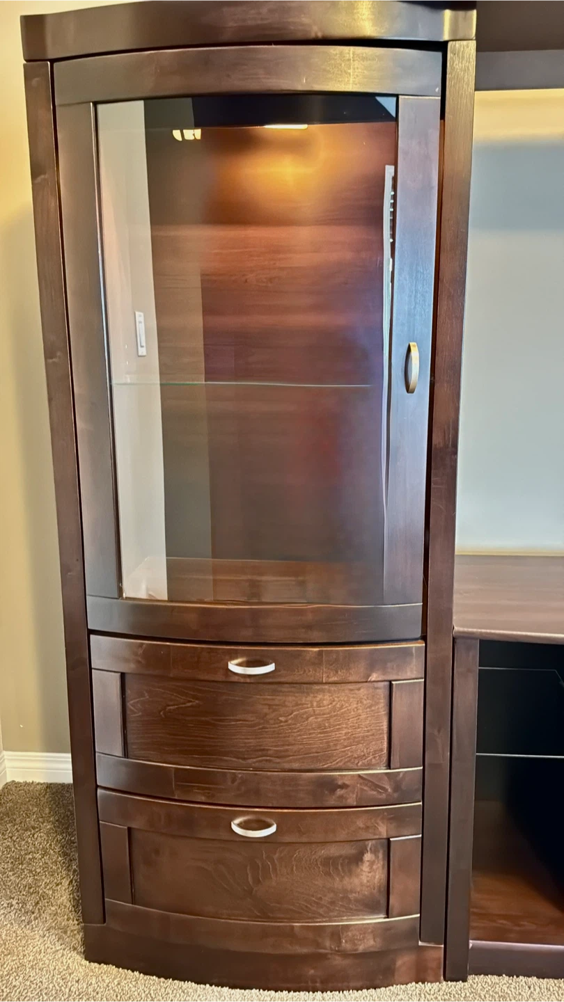 Large Entertainment Unit w/ Fireplace - photo 2