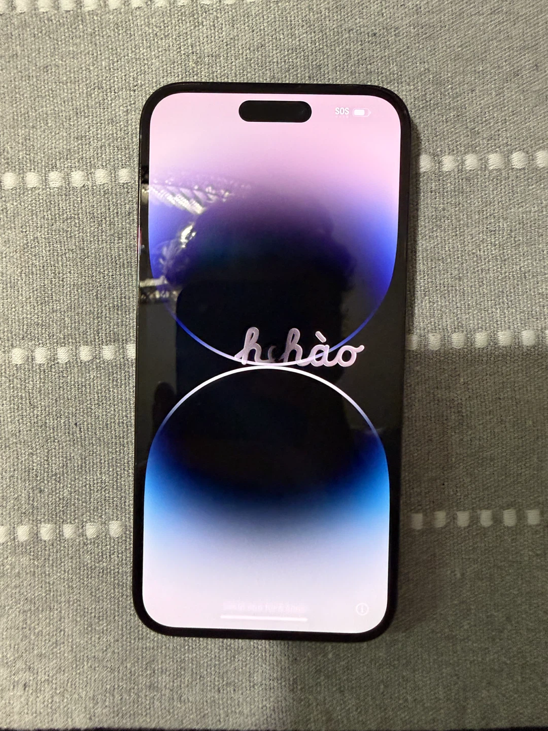 iPhone 14 Pro Max