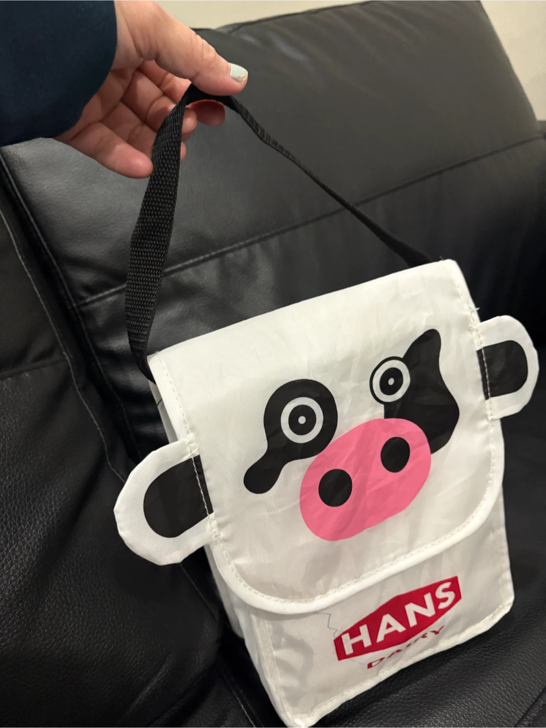 Free Insulated Lunch Bag