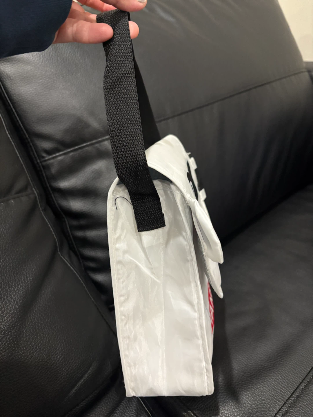 Free Insulated Lunch Bag - photo 2
