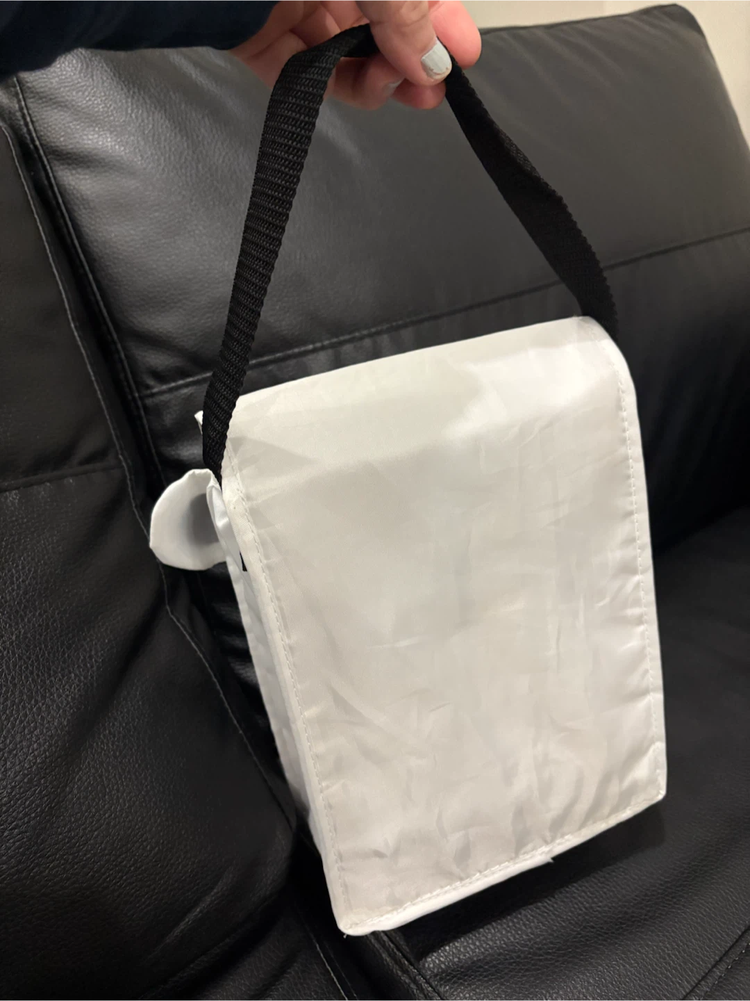 Free Insulated Lunch Bag - photo 3