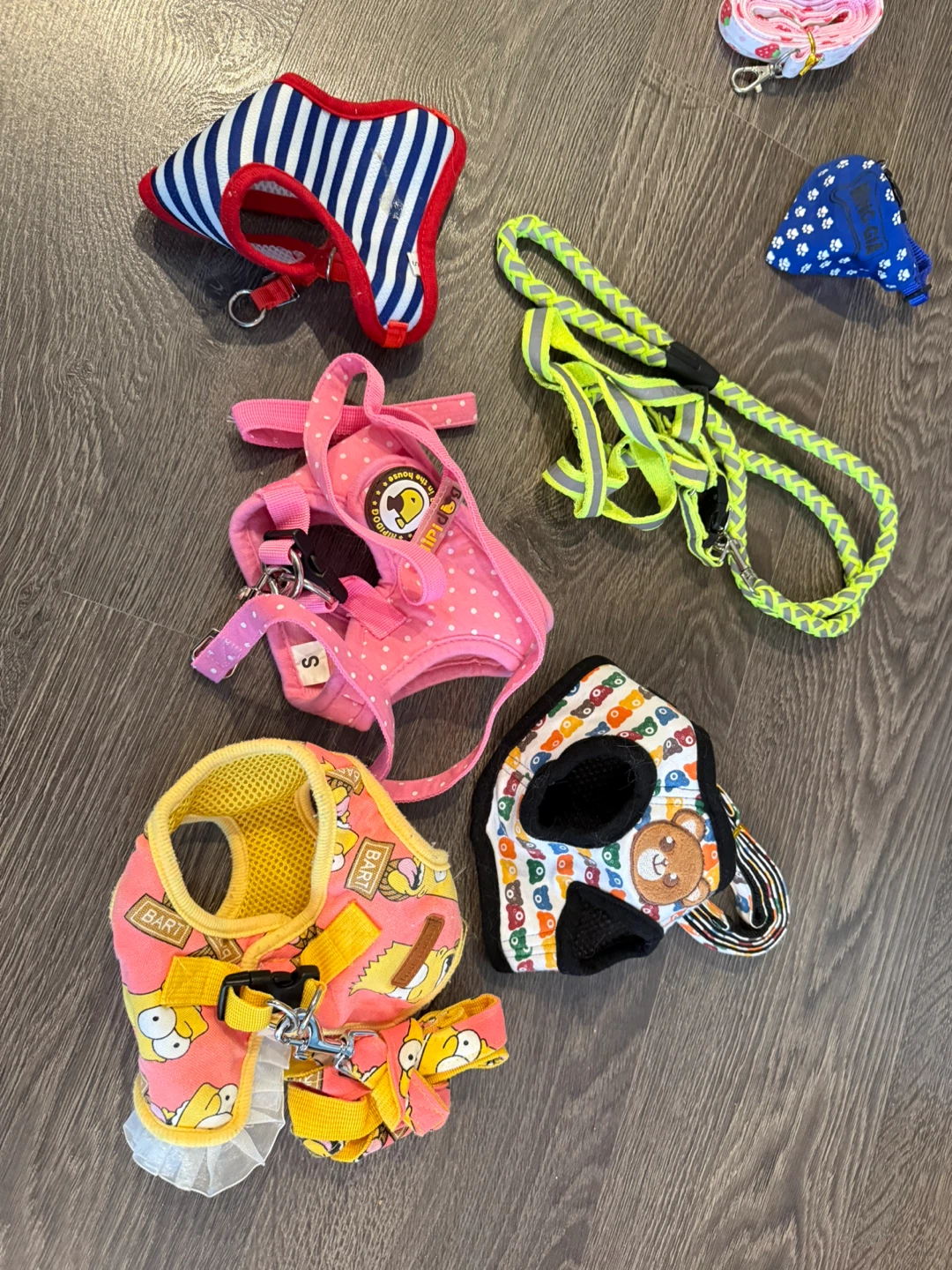 Assorted Dog Harnesses and Leashes