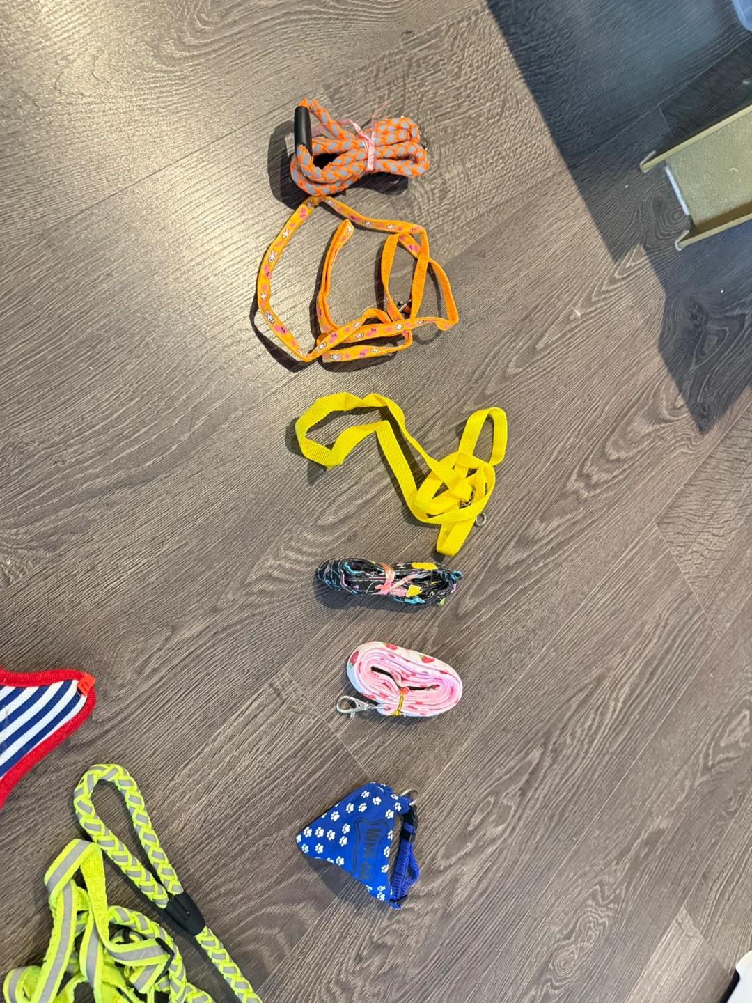 Assorted Dog Harnesses and Leashes - photo 2