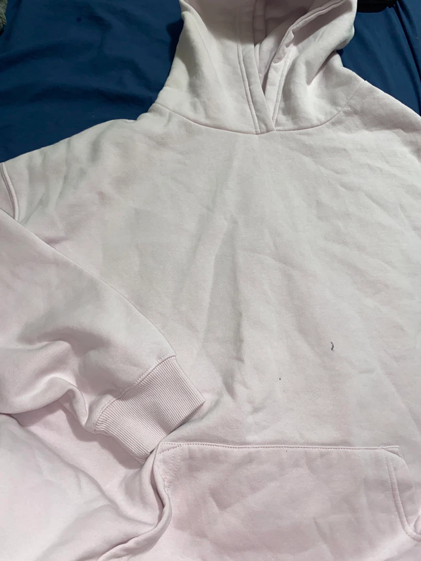 FB Sister Pink Hoodie