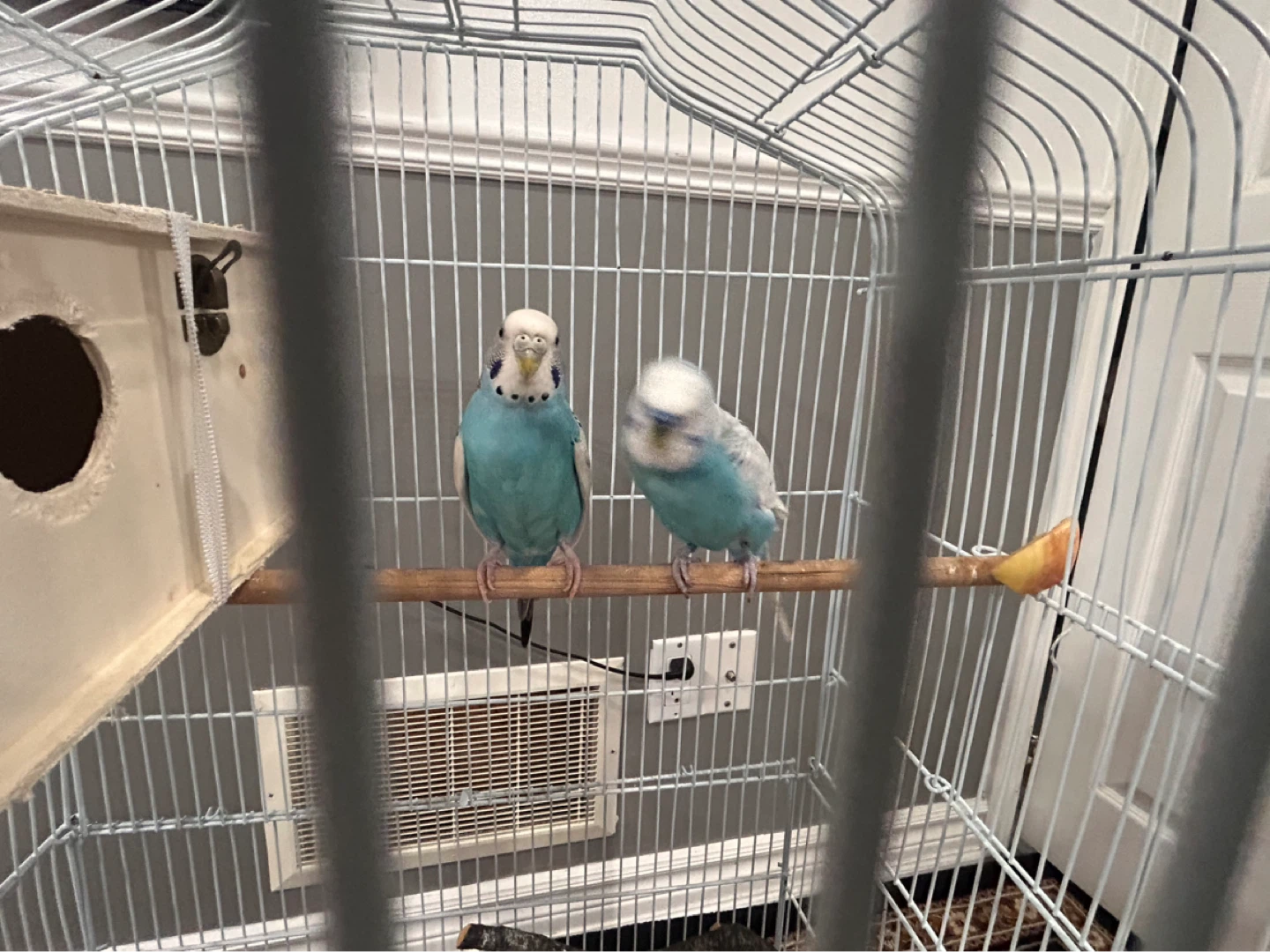 White Metal Bird Cage with Nesting Box