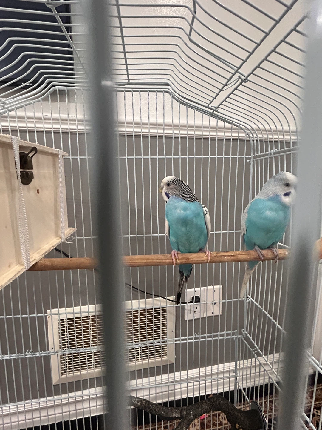 White Metal Bird Cage with Nesting Box - photo 3